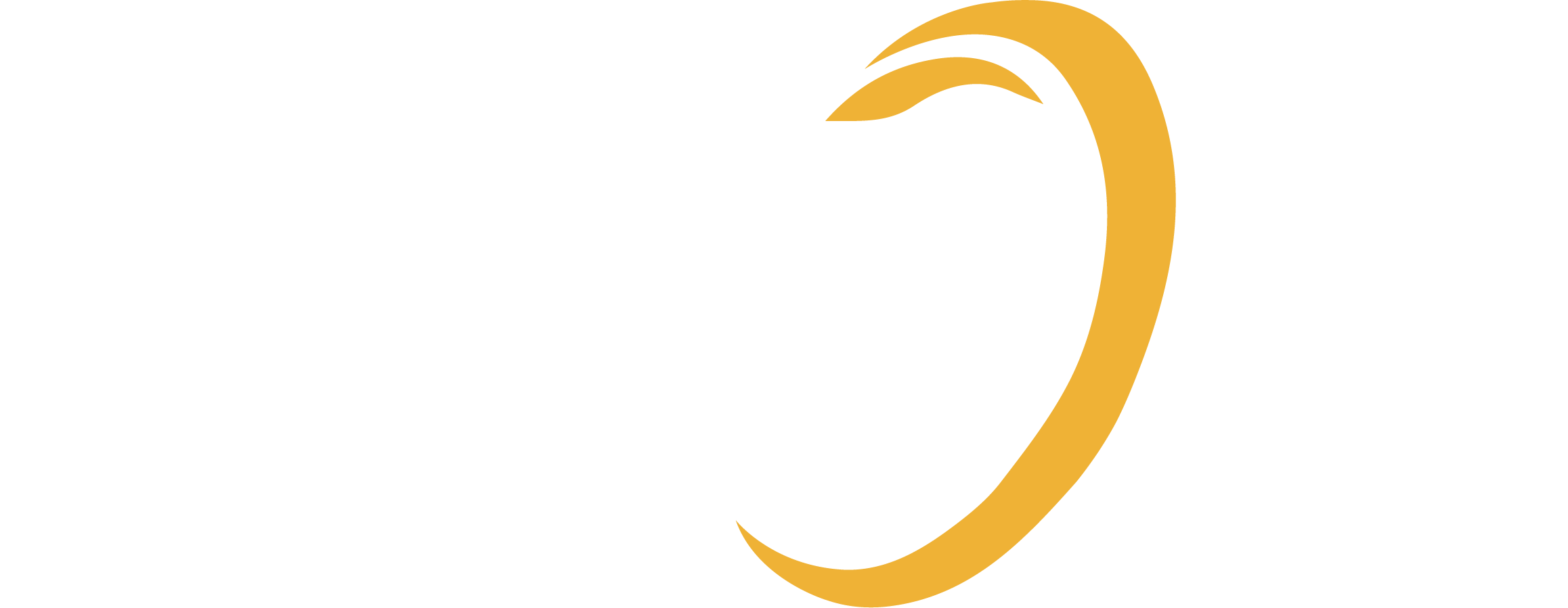 Reliance Trenchless Technology footer logo